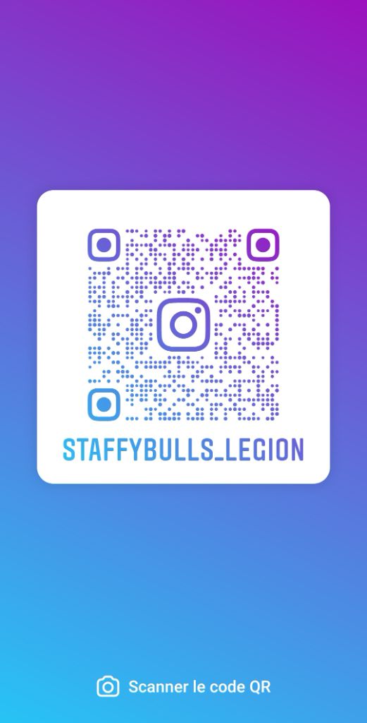 Staffybull's Légion - suivez nous sur instagram