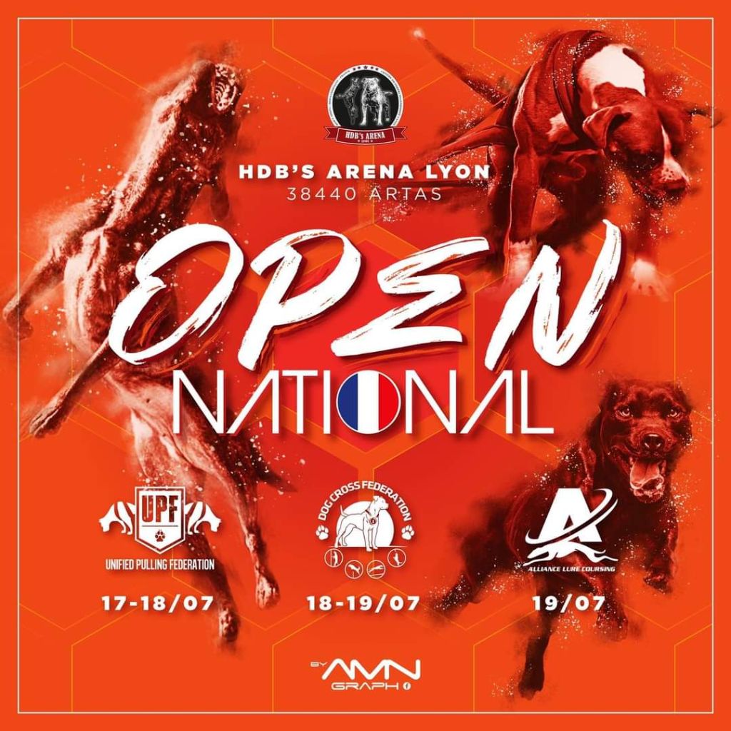 Staffybull's Légion - OPEN NATIONAL DCF à l'HDB's ARENA LYON juillet 2020